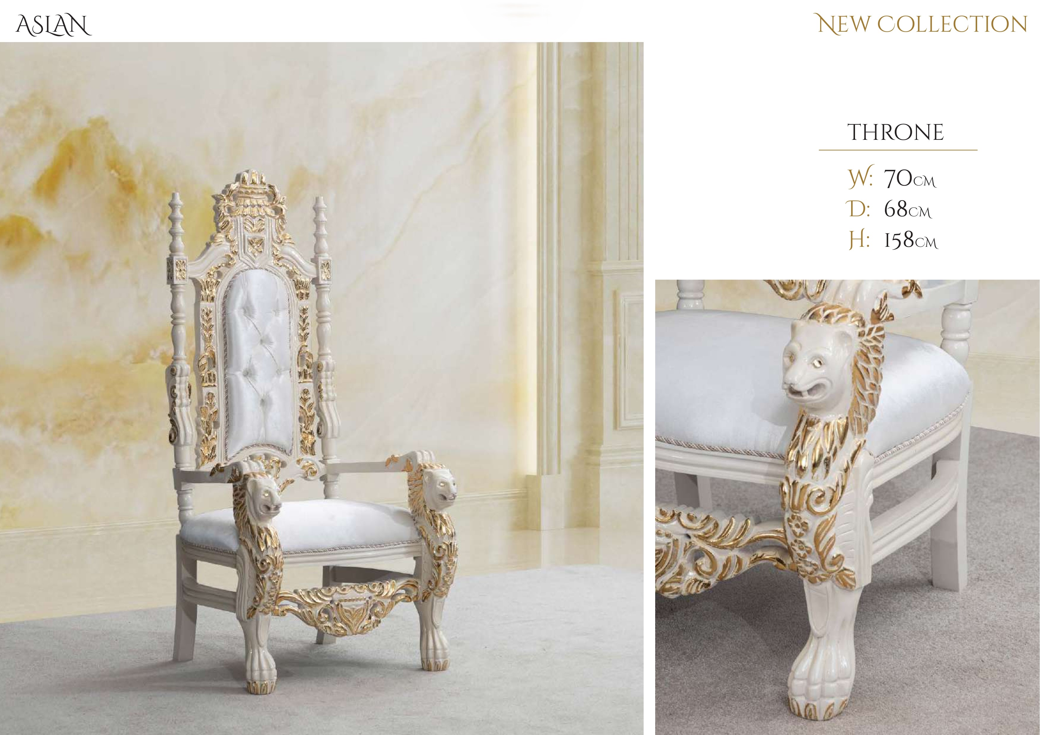 Aslan Throne